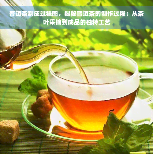 普洱茶制成过程图，揭秘普洱茶的制作过程：从茶叶采摘到成品的独特工艺