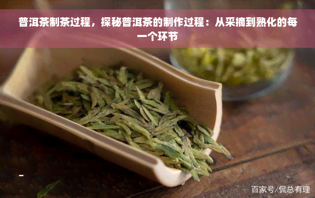 普洱茶制茶过程，探秘普洱茶的制作过程：从采摘到熟化的每一个环节