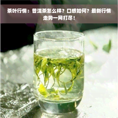 茶叶行情：普洱茶怎么样？口感如何？最新行情走势一网打尽！