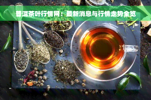 普洱茶叶行情网：最新消息与行情走势全览