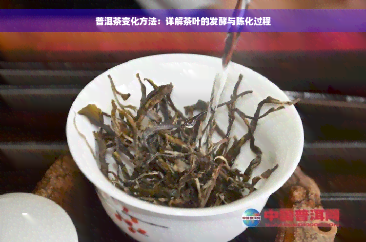 普洱茶变化方法：详解茶叶的发酵与陈化过程