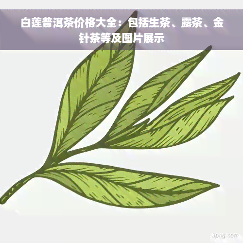 白莲普洱茶价格大全：包括生茶、露茶、金针茶等及图片展示