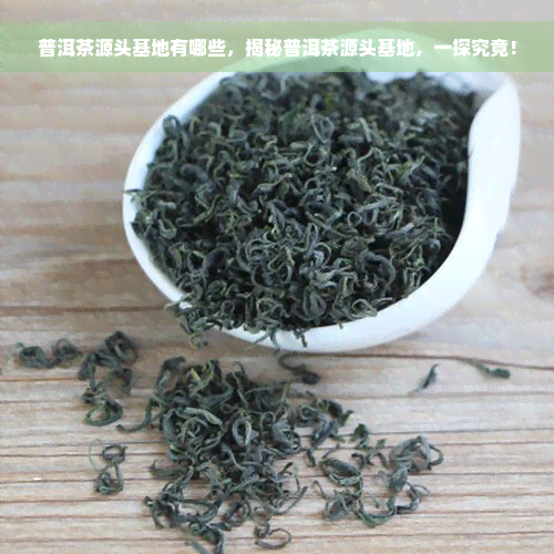 普洱茶源头基地有哪些，揭秘普洱茶源头基地，一探究竟！