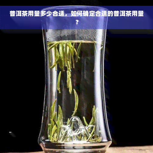 普洱茶用量多少合适，如何确定合适的普洱茶用量？