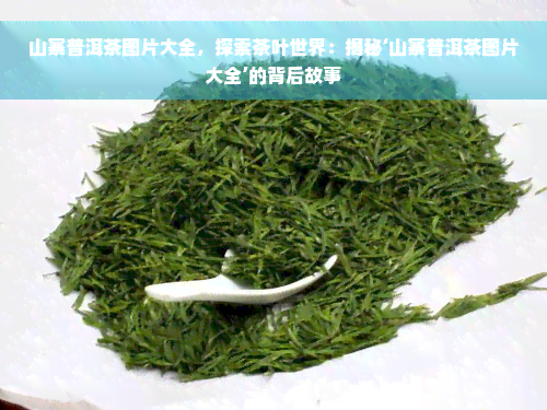 山寨普洱茶图片大全，探索茶叶世界：揭秘‘山寨普洱茶图片大全’的背后故事