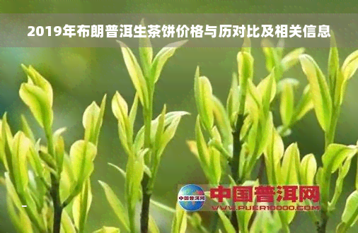 2019年布朗普洱生茶饼价格与历对比及相关信息