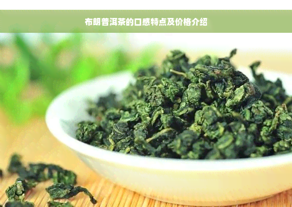 布朗普洱茶的口感特点及价格介绍