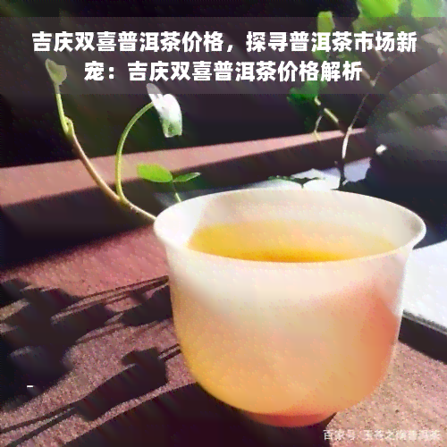 吉庆双喜普洱茶价格，探寻普洱茶市场新宠：吉庆双喜普洱茶价格解析