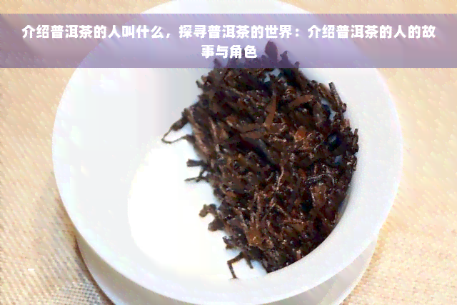 介绍普洱茶的人叫什么，探寻普洱茶的世界：介绍普洱茶的人的故事与角色