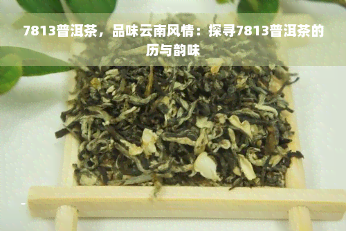 7813普洱茶，品味云南风情：探寻7813普洱茶的历与韵味