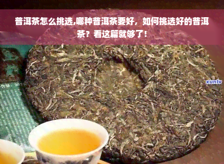 普洱茶怎么挑选,哪种普洱茶要好，如何挑选好的普洱茶？看这篇就够了！