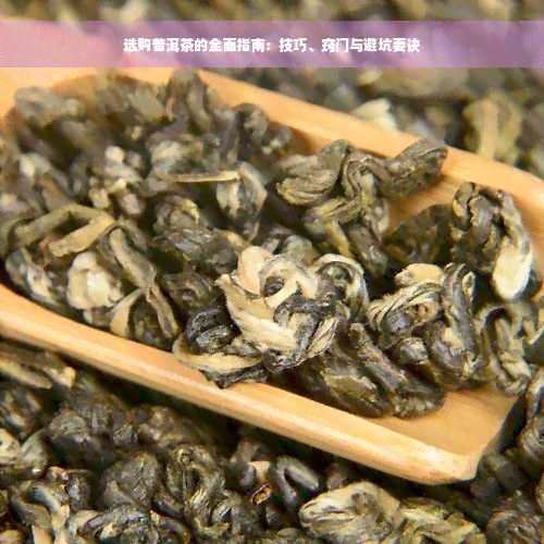 选购普洱茶的全面指南：技巧、窍门与避坑要诀