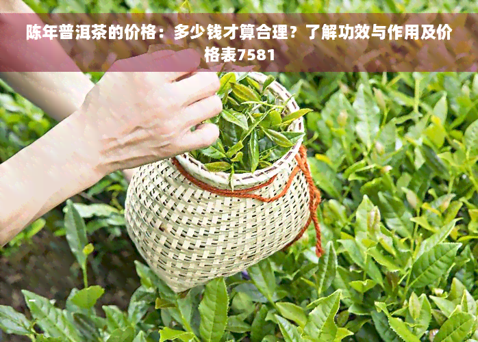 陈年普洱茶的价格：多少钱才算合理？了解功效与作用及价格表7581