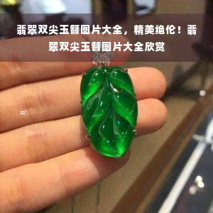 翡翠双尖玉簪图片大全，精美绝伦！翡翠双尖玉簪图片大全欣赏