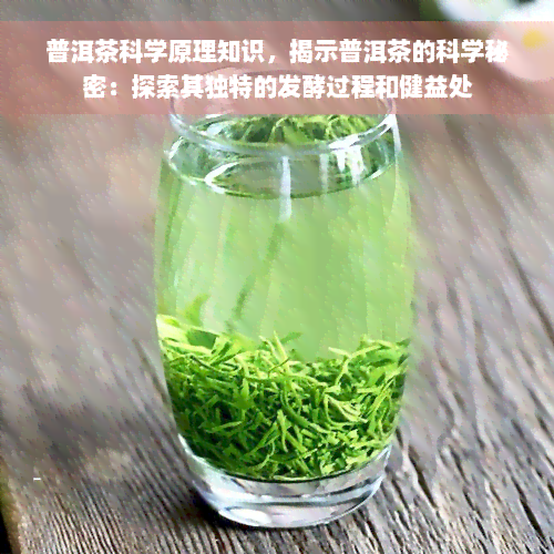 普洱茶科学原理知识，揭示普洱茶的科学秘密：探索其独特的发酵过程和健益处