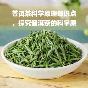 普洱茶科学原理知识点，探究普洱茶的科学原理：关键知识点解析