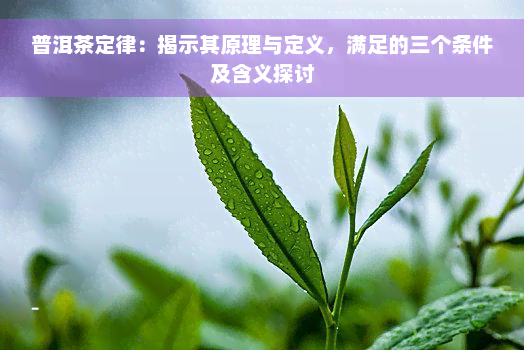 普洱茶定律：揭示其原理与定义，满足的三个条件及含义探讨