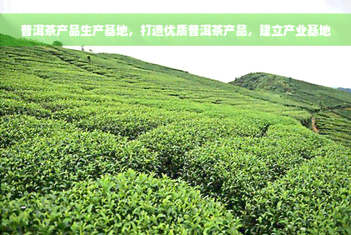 普洱茶产品生产基地，打造优质普洱茶产品，建立产业基地