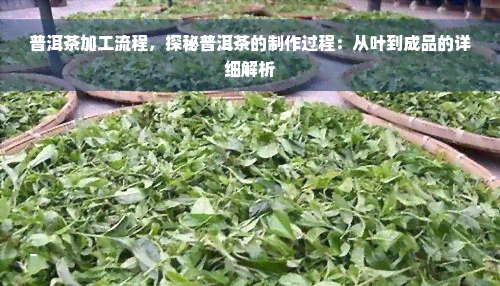 普洱茶加工流程，探秘普洱茶的制作过程：从叶到成品的详细解析