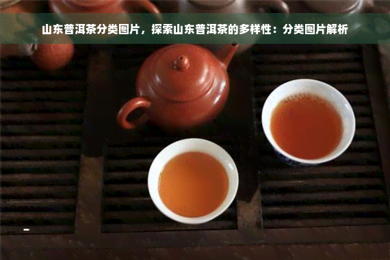 山东普洱茶分类图片，探索山东普洱茶的多样性：分类图片解析