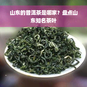 山东的普洱茶是哪家？盘点山东知名茶叶