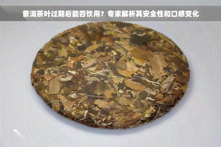 普洱茶叶过期后能否饮用？专家解析其安全性和口感变化