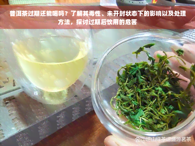 普洱茶过期还能喝吗？了解其毒性、未开封状态下的影响以及处理方法，探讨过期后饮用的危害