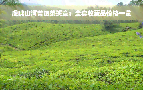 虎啸山河普洱茶班章：全套收藏品价格一览