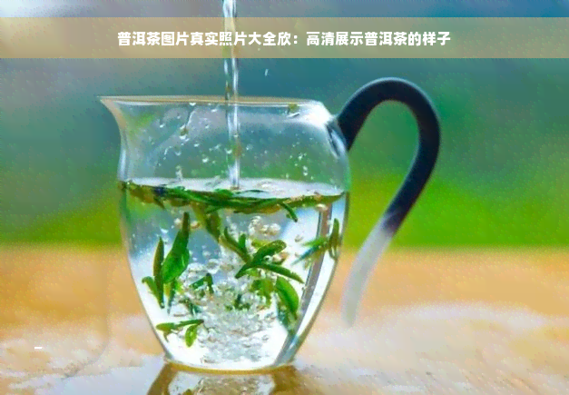 普洱茶图片真实照片大全欣：高清展示普洱茶的样子