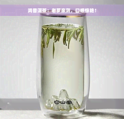 鸿普洱茶：老罗亲测，口感惊艳！