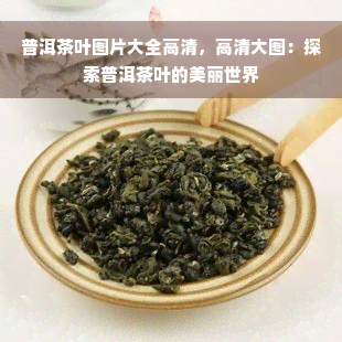 普洱茶叶图片大全高清，高清大图：探索普洱茶叶的美丽世界