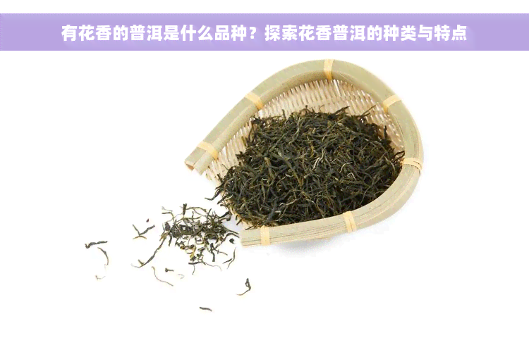 有花香的普洱是什么品种？探索花香普洱的种类与特点