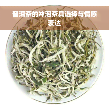 普洱茶的冲泡茶具选择与情感表达