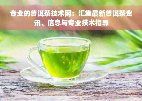 专业的普洱茶技术网：汇集最新普洱茶资讯、信息与专业技术指导