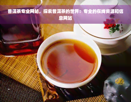 普洱茶专业网站，探索普洱茶的世界：专业的在线资源和信息网站