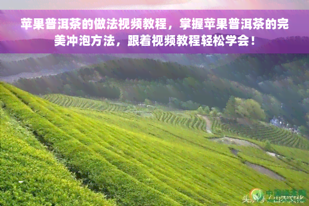 苹果普洱茶的做法视频教程，掌握苹果普洱茶的完美冲泡方法，跟着视频教程轻松学会！