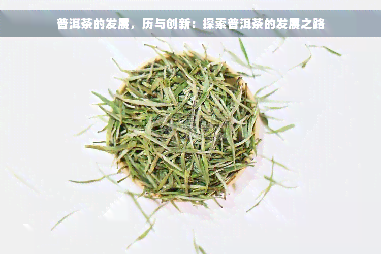 普洱茶的发展，历与创新：探索普洱茶的发展之路