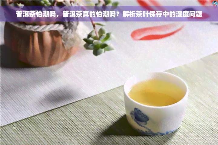 普洱茶怕潮吗，普洱茶真的怕潮吗？解析茶叶保存中的湿度问题