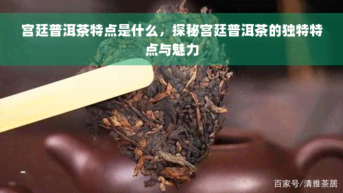 宫廷普洱茶特点是什么，探秘宫廷普洱茶的独特特点与魅力