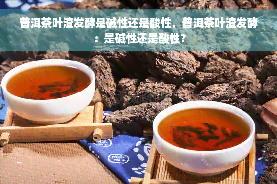 普洱茶叶渣发酵是碱性还是酸性，普洱茶叶渣发酵：是碱性还是酸性？