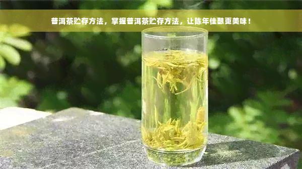 普洱茶贮存方法，掌握普洱茶贮存方法，让陈年佳酿更美味！