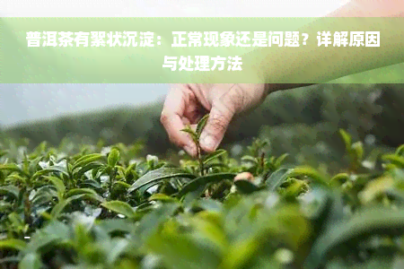 普洱茶有絮状沉淀：正常现象还是问题？详解原因与处理方法