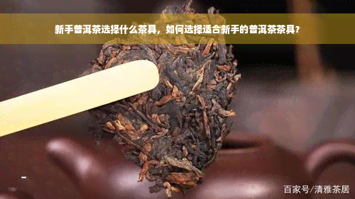 新手普洱茶选择什么茶具，如何选择适合新手的普洱茶茶具？