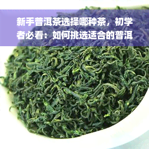 新手普洱茶选择哪种茶，初学者必看：如何挑选适合的普洱茶？