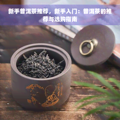 新手普洱茶推荐，新手入门：普洱茶的推荐与选购指南