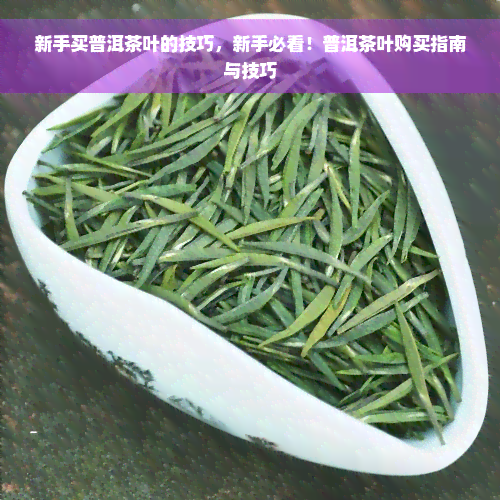 新手买普洱茶叶的技巧，新手必看！普洱茶叶购买指南与技巧