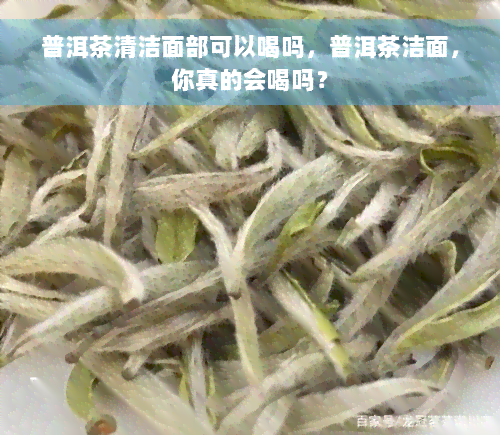 普洱茶清洁面部可以喝吗，普洱茶洁面，你真的会喝吗？