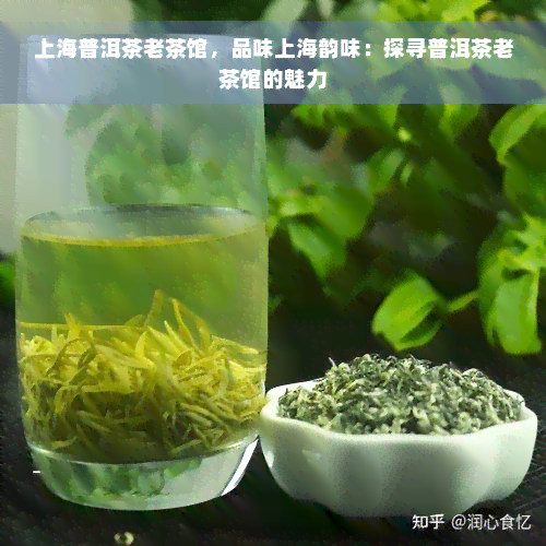 上海普洱茶老茶馆，品味上海韵味：探寻普洱茶老茶馆的魅力