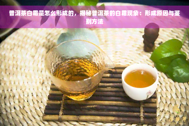 普洱茶白霜是怎么形成的，揭秘普洱茶的白霜现象：形成原因与鉴别方法