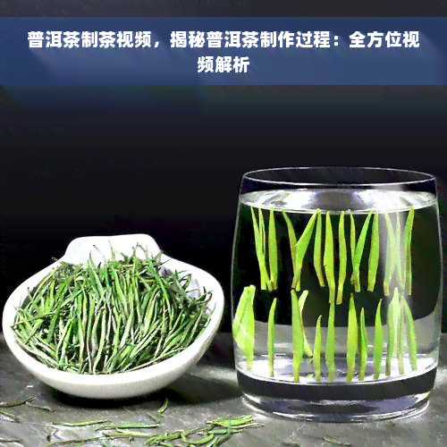 普洱茶制茶视频，揭秘普洱茶制作过程：全方位视频解析